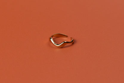 Ring Waves